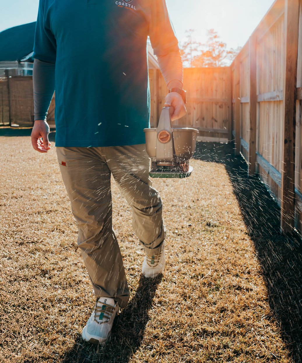 Pest control technician treating wall cavity