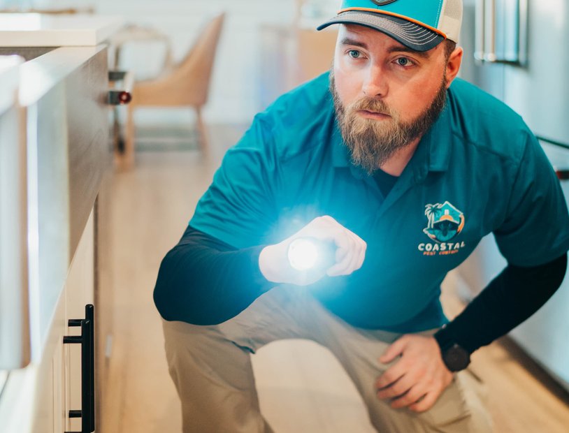 Pest control technician spraying exterior area