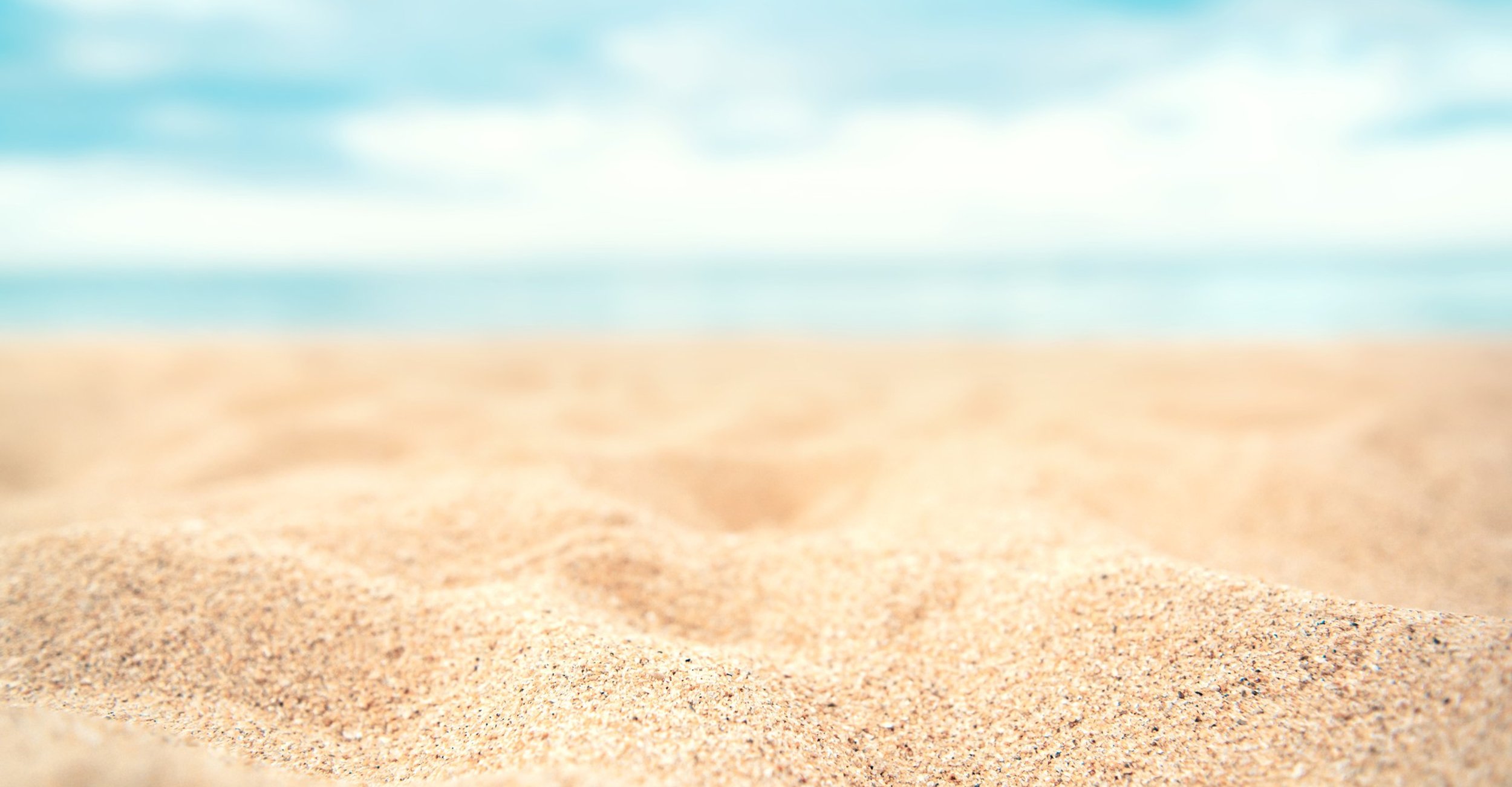 Professional pest control technician at work